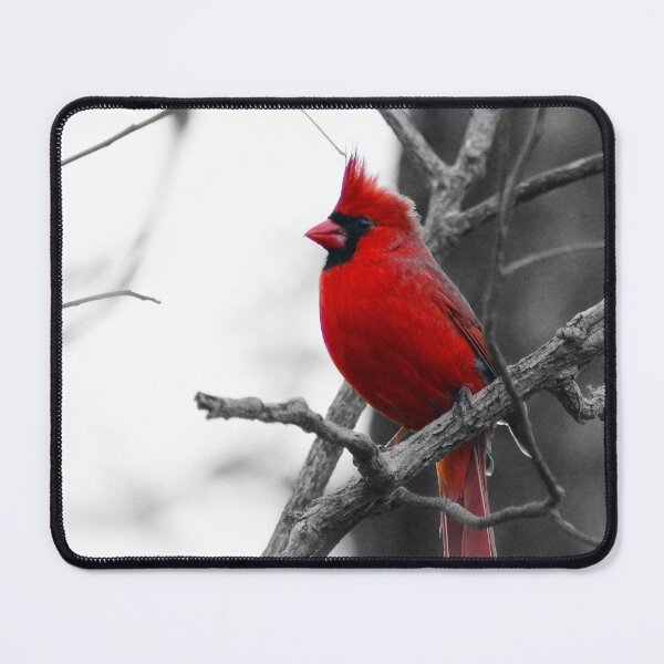 Item preview, The Red Cardinal designed and sold by StampCity.