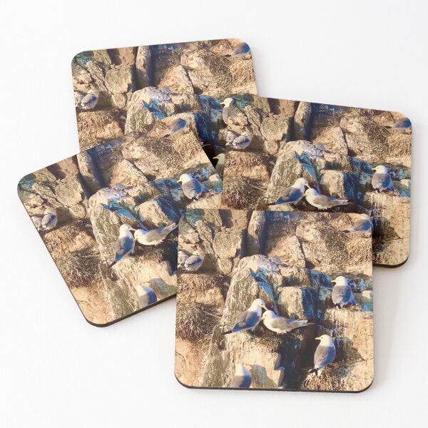 Item preview, Seagulls - Farne Islands , Northumberland  designed and sold by DesignedByEmma1.