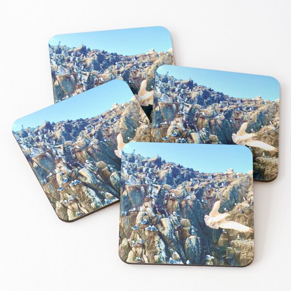 Item preview, Flying Seagull - Farne Islands , Northumberland  designed and sold by DesignedByEmma1.