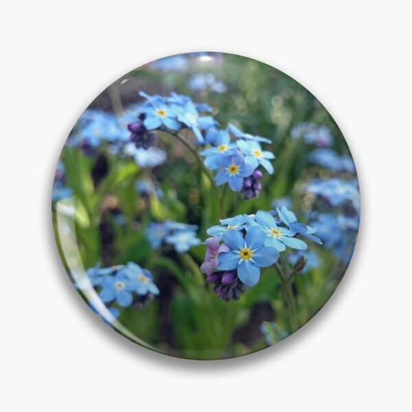 Item preview, forget Me Not designed and sold by Gourmetkater.