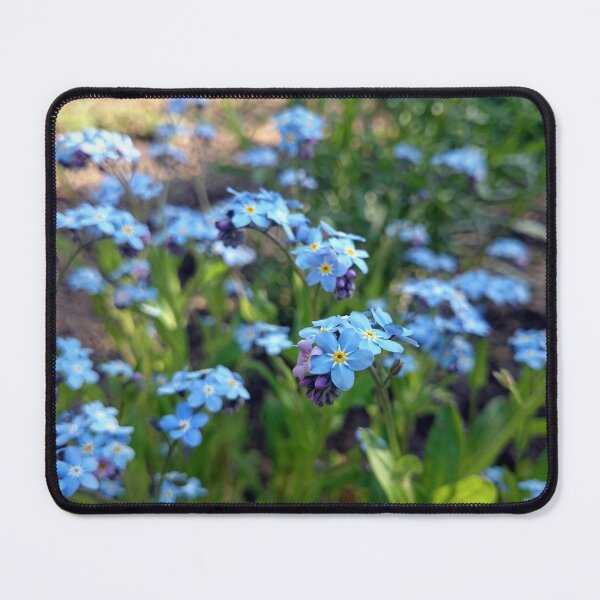 Item preview, forget Me Not designed and sold by Gourmetkater.