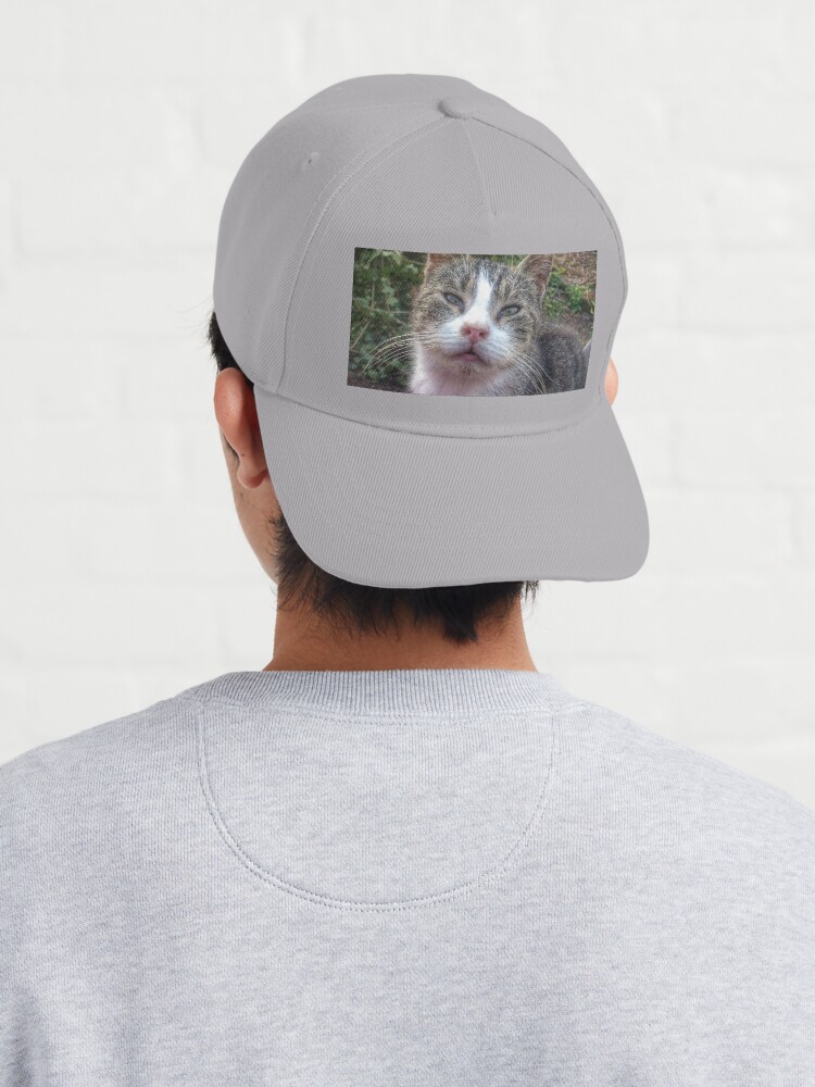 Alternative Ansicht von Katze Max Cap