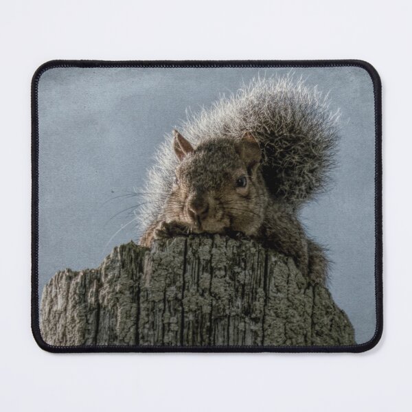 Item preview, Sneaking A Peek designed and sold by Finding Fortuity.