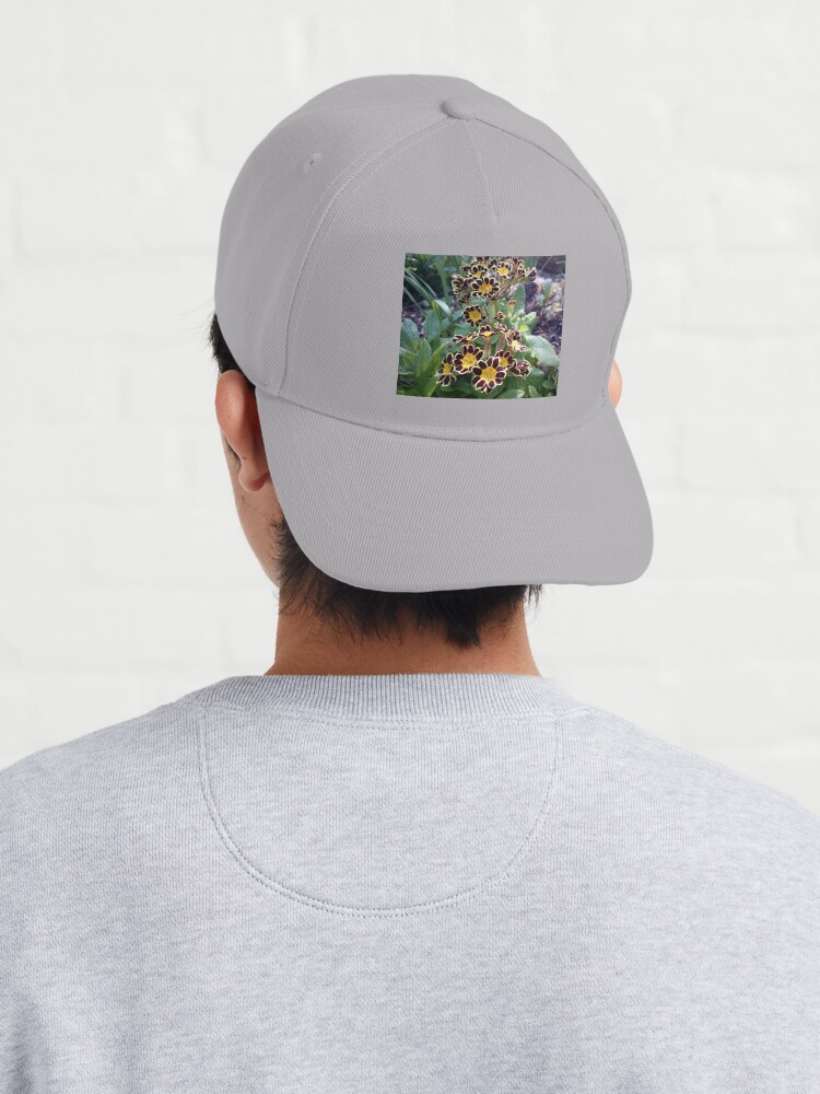 Alternative Ansicht von Primel im Frühling Cap