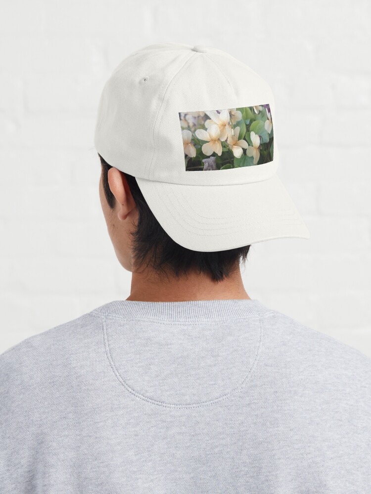 Alternative Ansicht von Veilchen in Blüte Cap