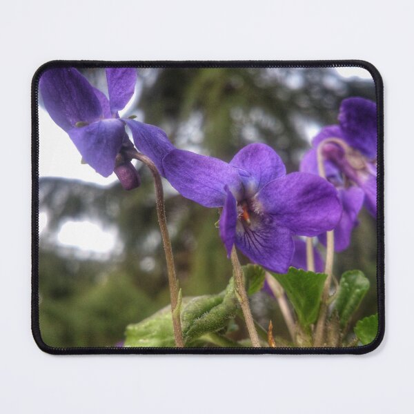 Item preview, Fragrance Violet designed and sold by Gourmetkater.