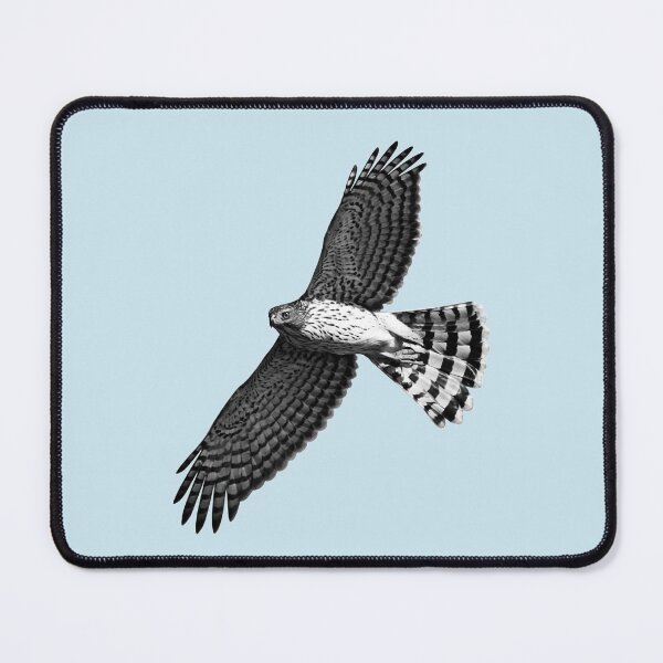 Item preview, Cooper's Hawk in Flight designed and sold by StampCity.