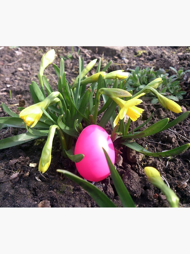 Osterei im Blumenbeet von Gourmetkater