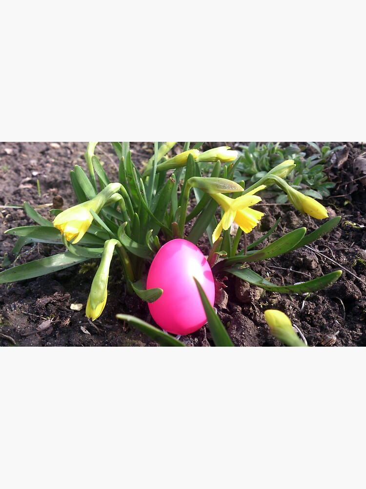 Osterei im Blumenbeet von Gourmetkater