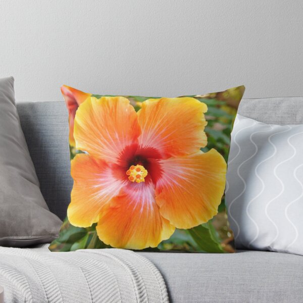Artikel-Vorschau von  Sie bestellen ein Stück Geschichte. Eine schöne Blume bei 100 Grad bleibt nur für kurze Zeit schön. Ich hoffe, Sie nutzen diese Gelegenheit, solange es dauert, um meine Blumensammlung zu durchsuchen.
Danke für ihre Zeit und Aufmerksamkeit, designt und verkauft von RoughCutErik.