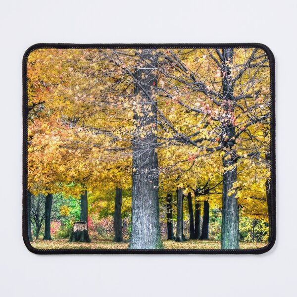 Item preview, Golden Canopy designed and sold by Finding Fortuity.