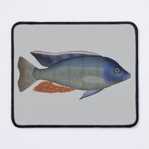 Item preview, Malawi Eyebiter designed and sold by fishfolkart.