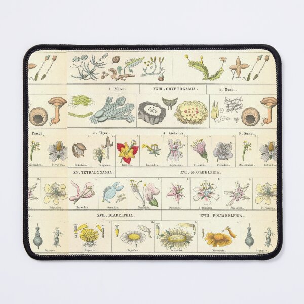 Botanical Chart by Bromme Mouse Pad
