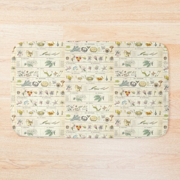 Item preview, Botanical Chart by Bromme designed and sold by Lloyd Library & Museum.