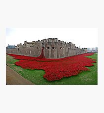 The Tower of London Remembers WWI Photographic Print