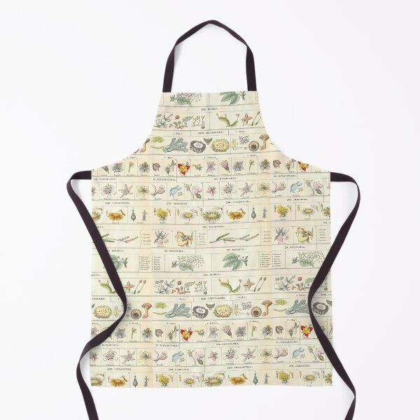 Item preview, Botanical Chart by Bromme designed and sold by Lloyd Library & Museum.