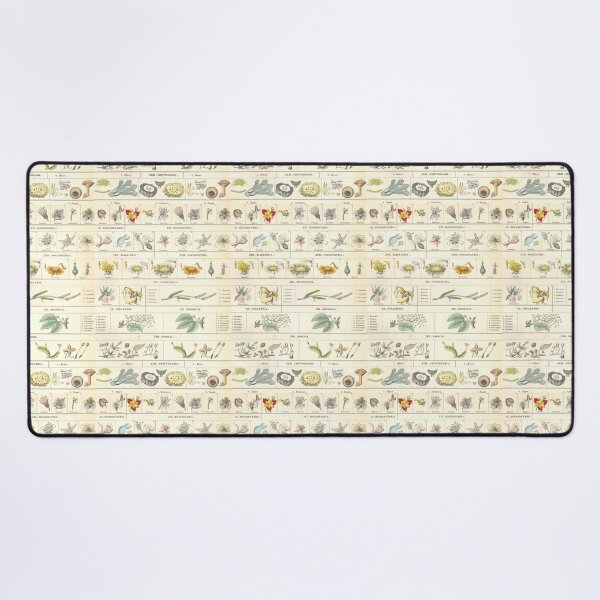 Botanical Chart by Bromme Desk Mat
