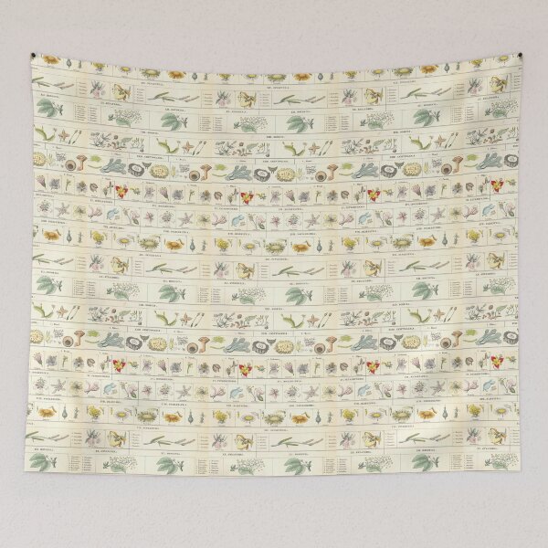 Item preview, Botanical Chart by Bromme designed and sold by Lloyd Library & Museum.