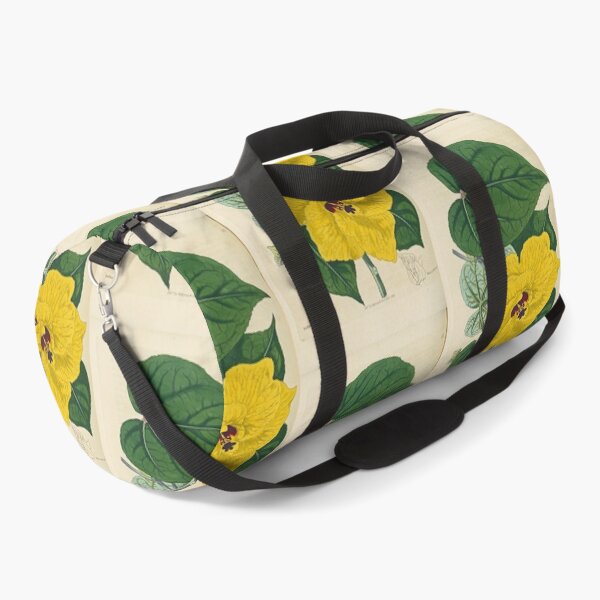Item preview, Sydenham Edwards' Yellow Hibiscus  designed and sold by Lloyd Library & Museum.