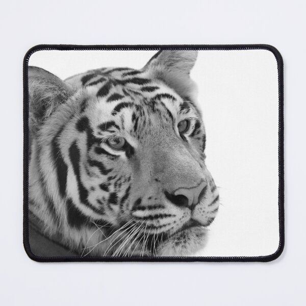 Item preview, Black and White Tiger designed and sold by thelustrous.