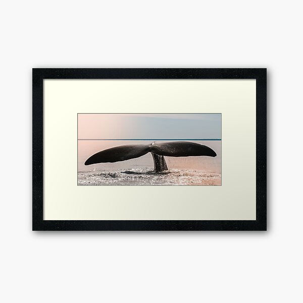 Item preview,  Panoramic,widescreen prints, Tapestries,Tapestry,throw blanket,whale wall art,whale art, ocean, sea, blue, fish,whale  designed and sold by eyesight4vision.