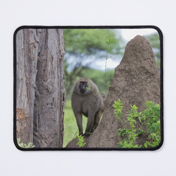 Item preview, Male Olive Baboon (Papio anubis) designed and sold by Yair Karelic.
