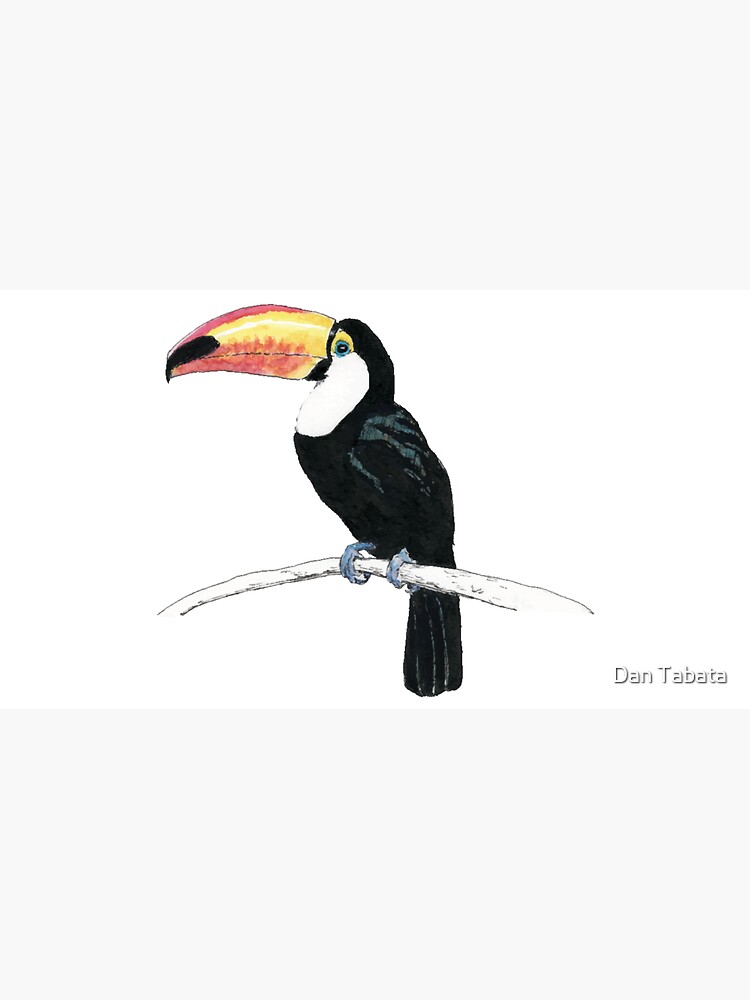 Toucan by dmtab