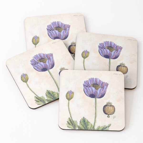 Item preview, Black Poppy by Elizabeth Blackwell designed and sold by Lloyd Library & Museum.