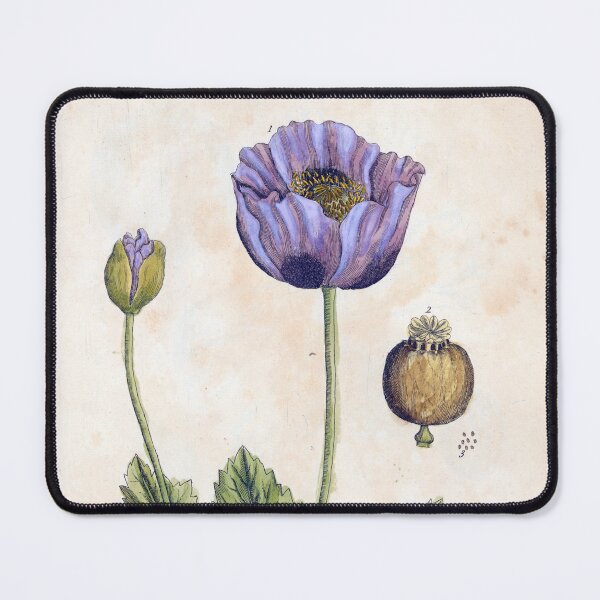 Item preview, Black Poppy by Elizabeth Blackwell designed and sold by Lloyd Library & Museum.