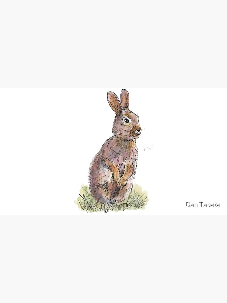 Rabbit by dmtab
