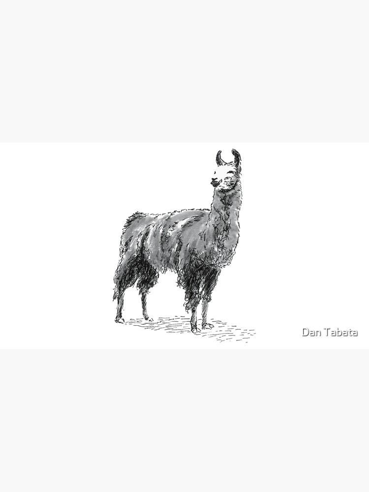 Happy Llama by dmtab