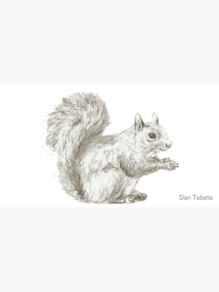 Resting Squirrel by dmtab