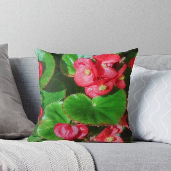 Item preview, Wax Begonia designed and sold by James Brotherton.