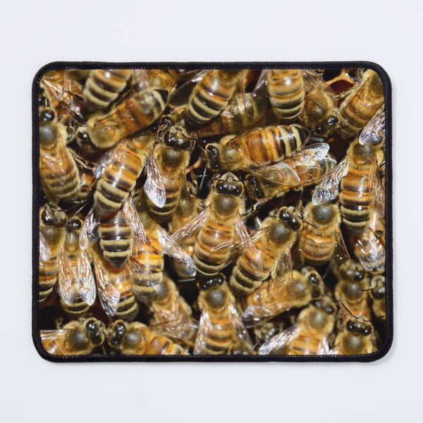 Item preview, Bees designed and sold by memedream.