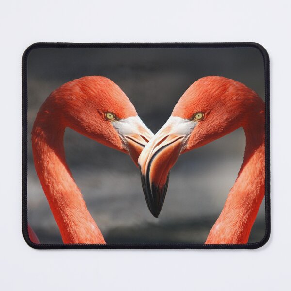 Item preview, Flamingos designed and sold by memedream.