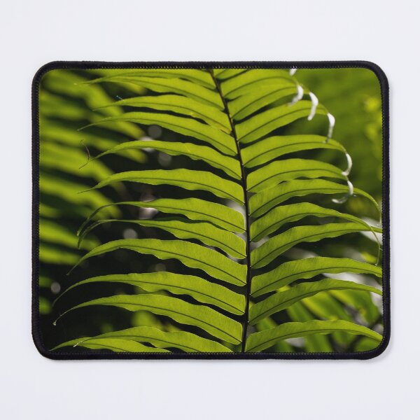 Item preview, Tropical ferns designed and sold by Zina Stromberg.