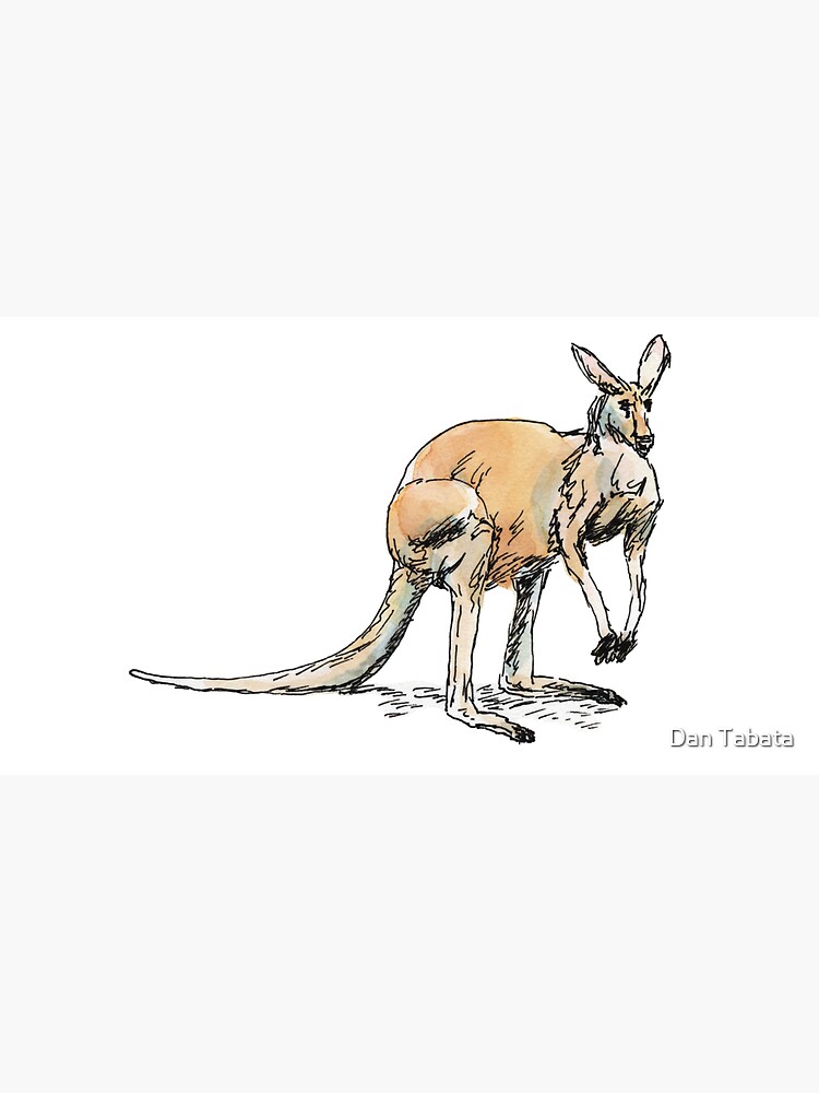 Kangaroo-in-waiting by dmtab