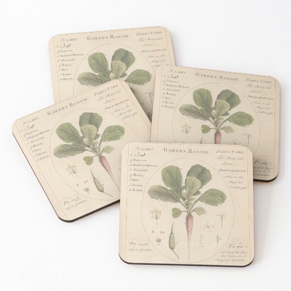 Item preview, Sheldrake's Garden Radish designed and sold by Lloyd Library & Museum.