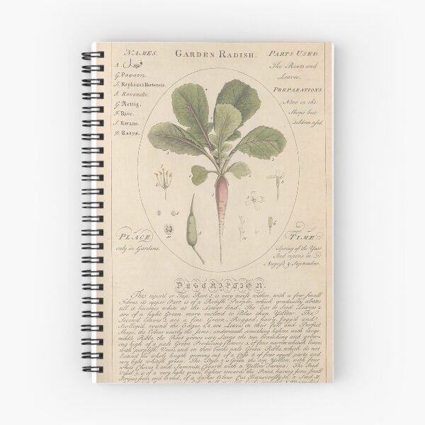Item preview, Sheldrake's Garden Radish designed and sold by Lloyd Library & Museum.
