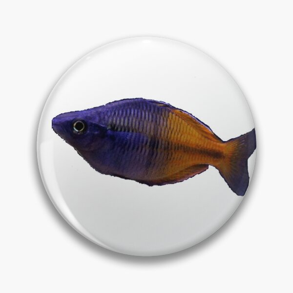 Item preview, Bosemani Rainbowfish designed and sold by Elements5.