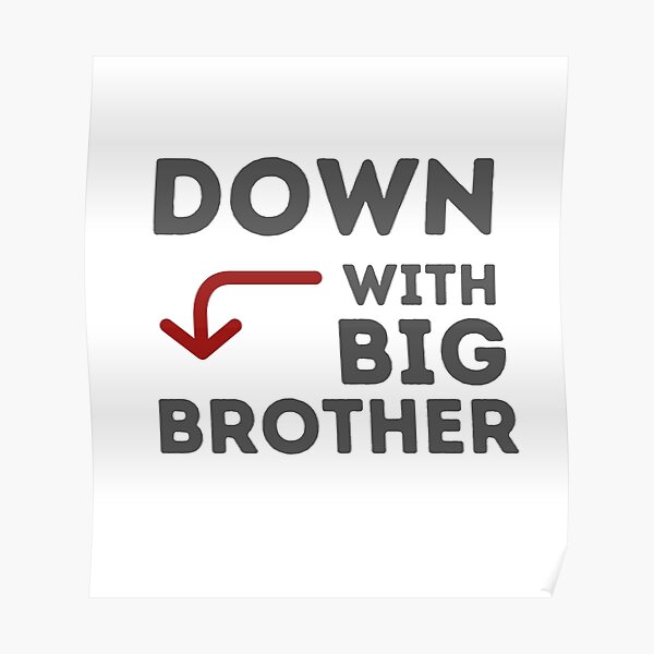 down-with-big-brother-poster-by-pr1mordia-redbubble