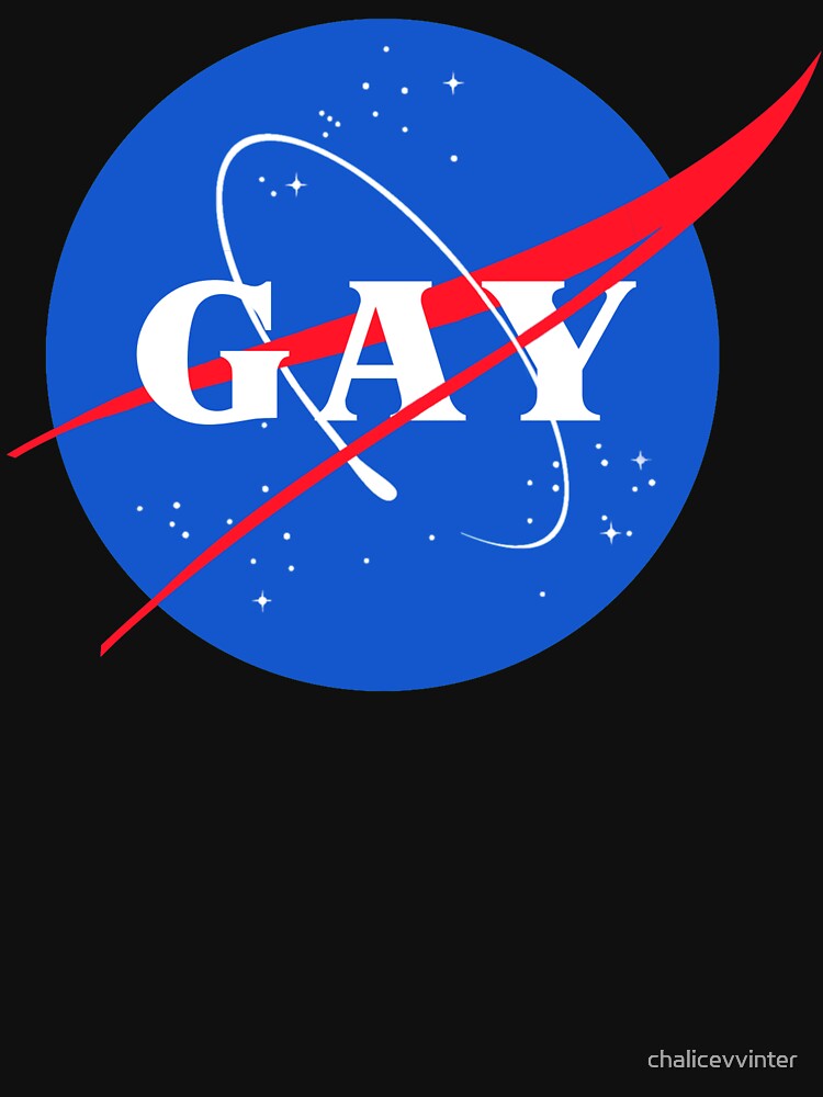 Nasa Gay Pride Logo by chalicevvinter