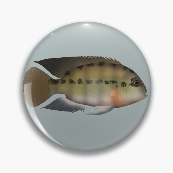 Item preview, True Parrot cichlid designed and sold by fishfolkart.