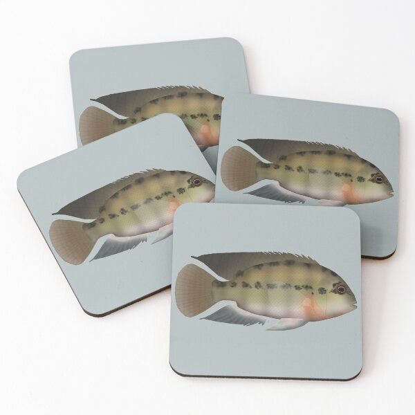 Item preview, True Parrot cichlid designed and sold by fishfolkart.