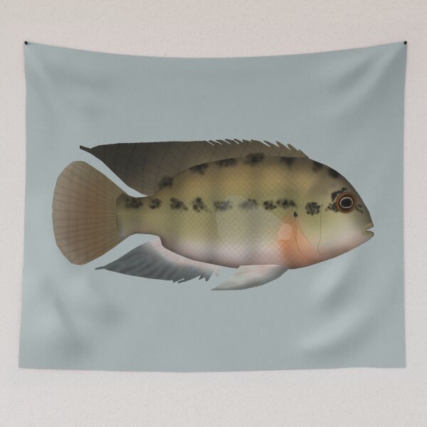 Item preview, True Parrot cichlid designed and sold by fishfolkart.