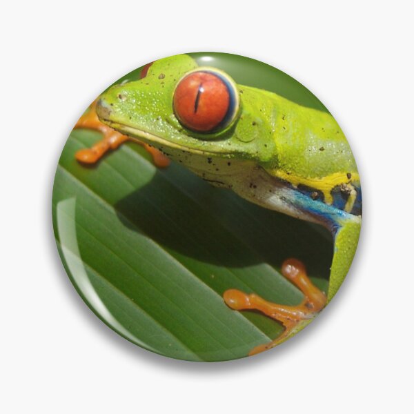 Item preview, FROG  designed and sold by Nádia  Fernandez.
