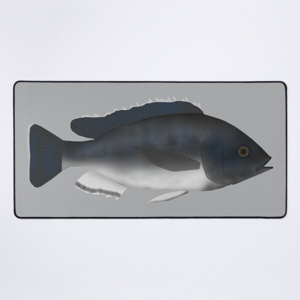 Item preview, Karonga tilapia designed and sold by fishfolkart.
