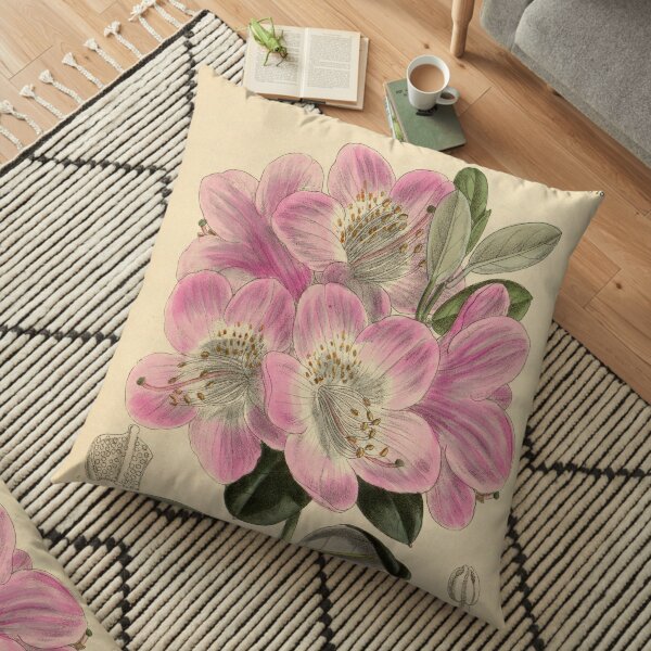 Vintage Rhododendron oreotrephes (1801) Print from Curtis’s botanical magazine Floor Pillow