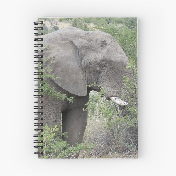 Item preview, Bull Elephant Framed by Trees designed and sold by picology.