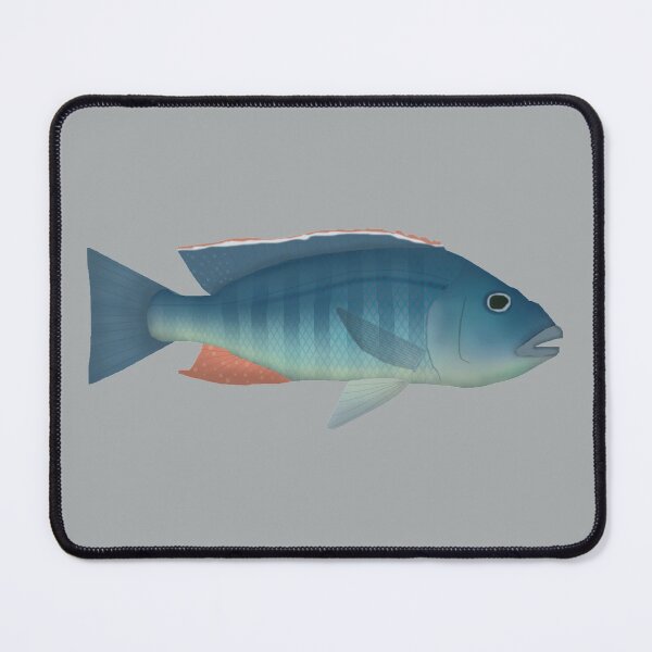 Item preview, Malawi Hawk designed and sold by fishfolkart.